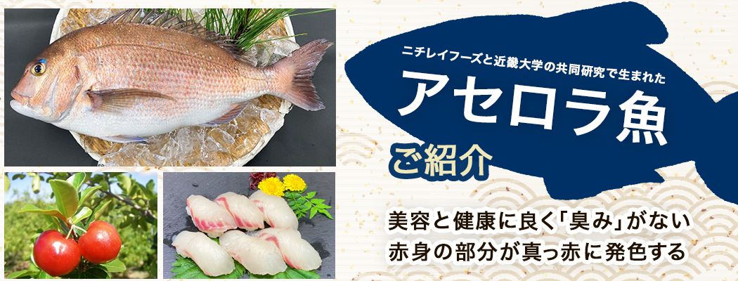 アセロラ魚紹介